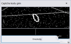 Tek Seferlik Captcha Sorucu.png